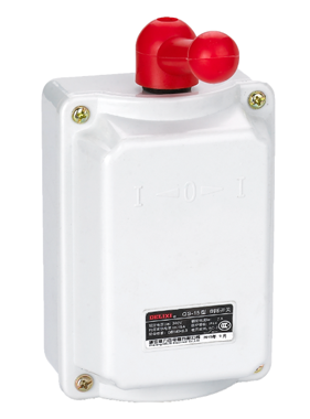 DELIXI德力西QS 系列倒順開關